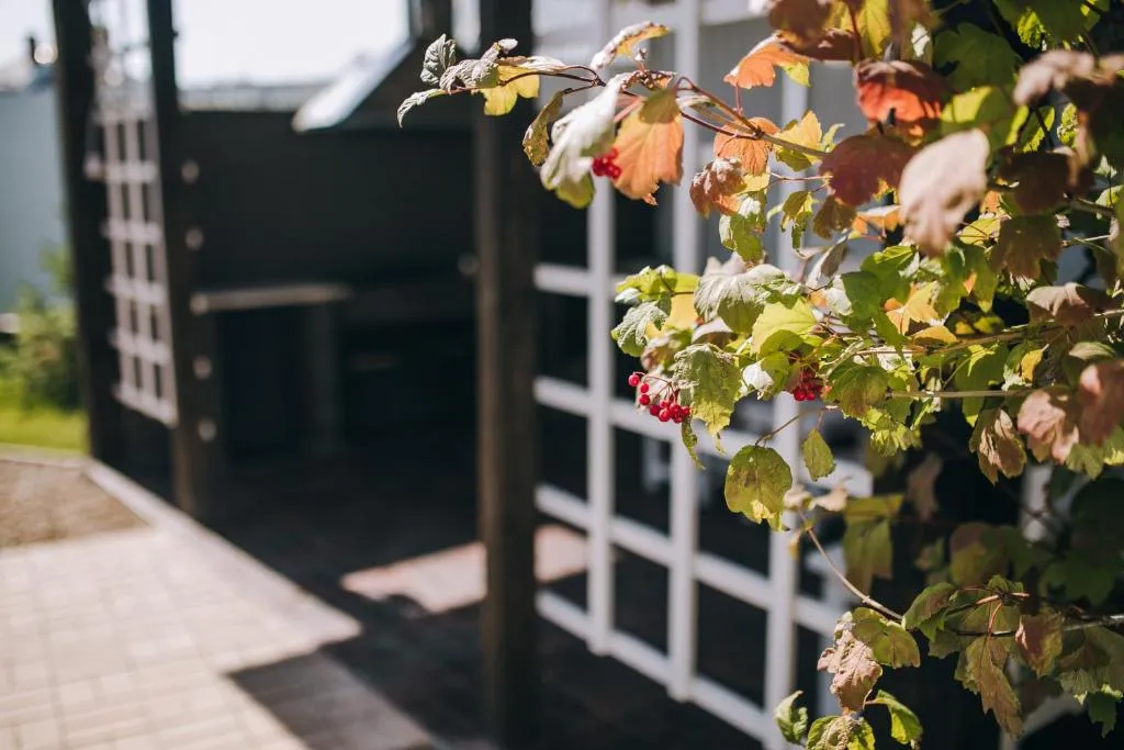 Гостевой дом Простоквашино