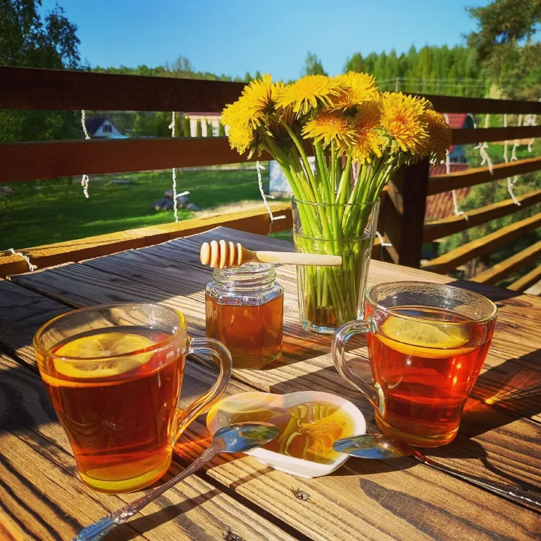 Дом под соснами