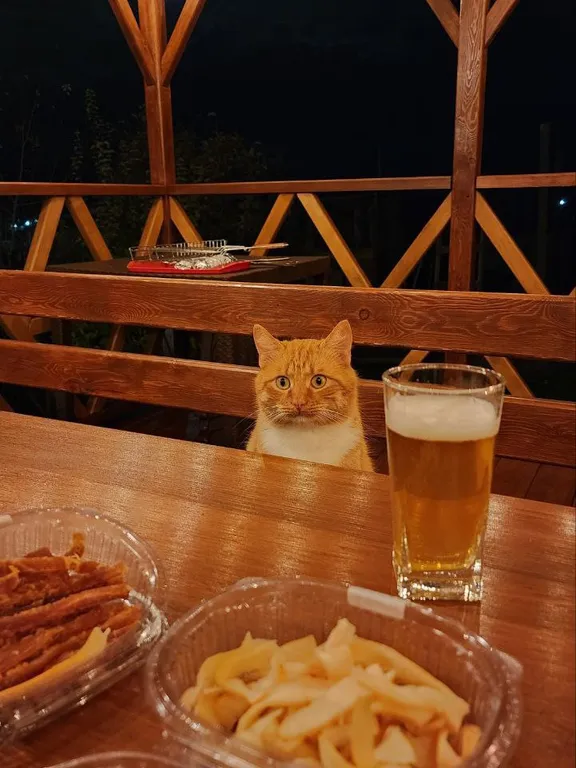 Деревенский домик с собственной беседкой и прекрасным видом на горы