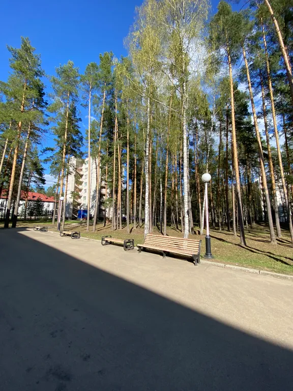 Прекрасная квартира в центре соснового бора