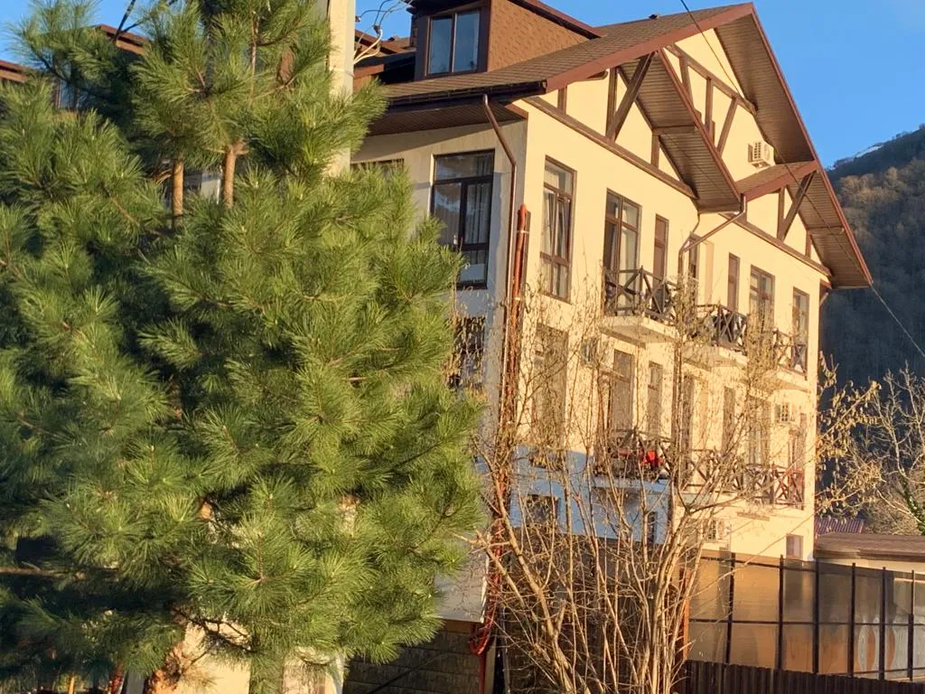 Солнечная стильная студия в горах Красной Поляны