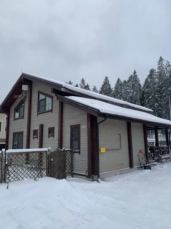 Деревянный 2-этажный коттедж у леса — аренда посуточно в Елизаветинка