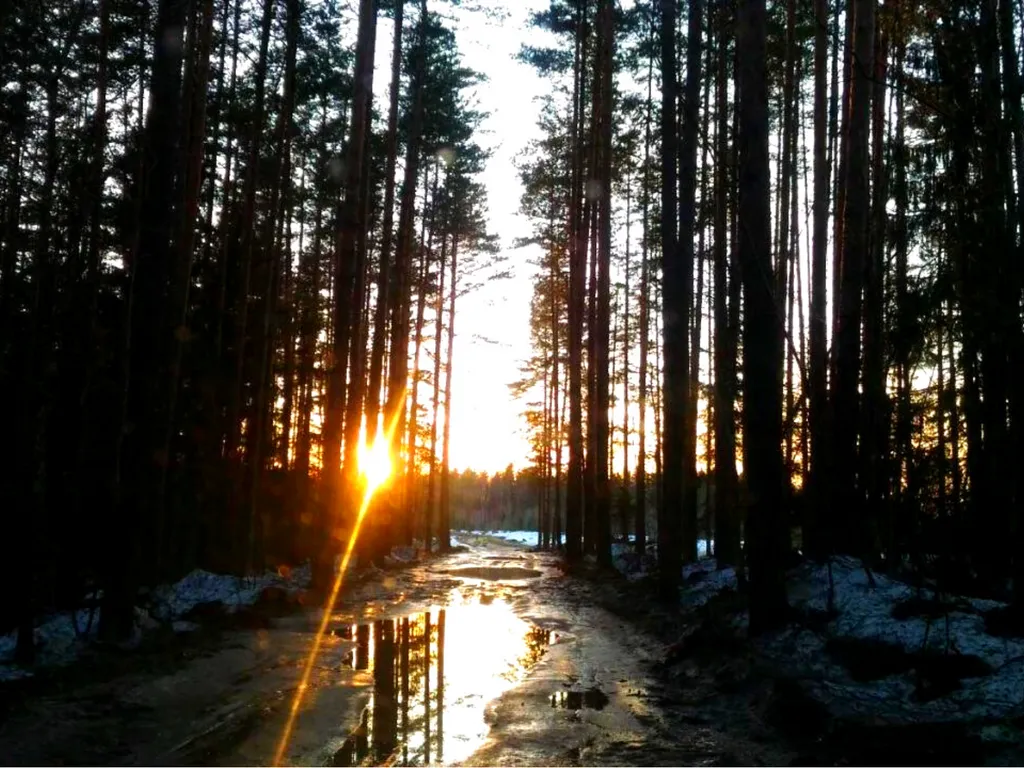 Отдых у озера