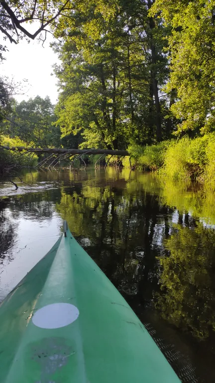 Просторный дом, для большой семьи и не только