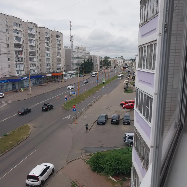 Квартира в новом доме с медведем