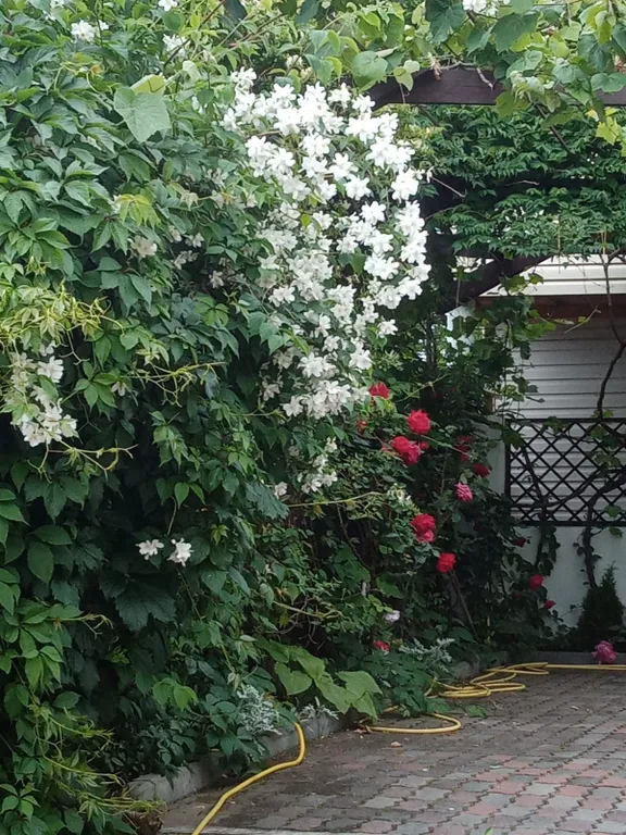 Удобная комната на втором этаже