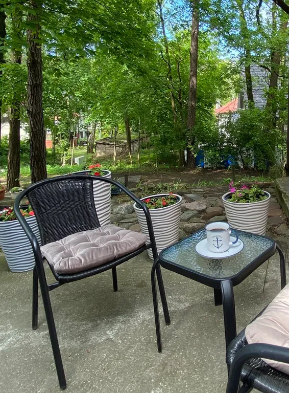 Квартира Уютная квартира в центре курортного Светлогорска — Светлогорск