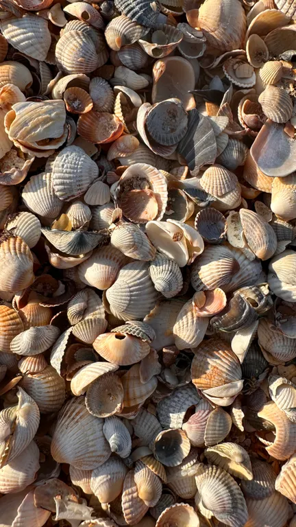 Благоустроенная комната с террасой