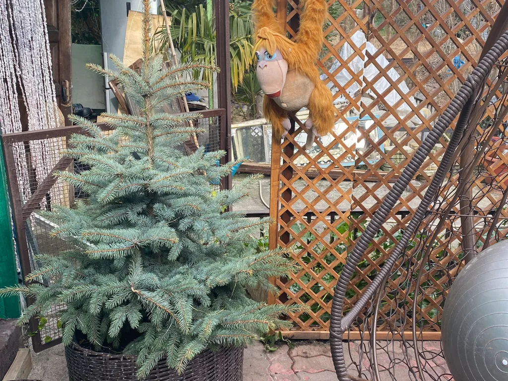 Квартира Комфортная, уютная комната — Сириус