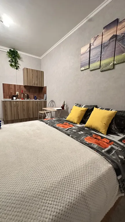 Квартира Квартира-студия, 20,5 м² — Лобня