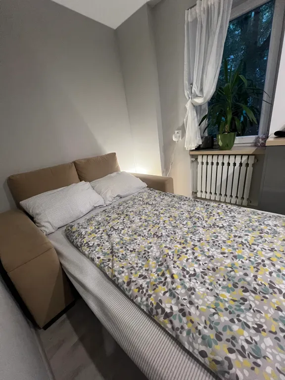 Квартира Уютная квартира — Светлогорск