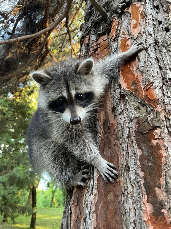 Гостевой дом Sunrise