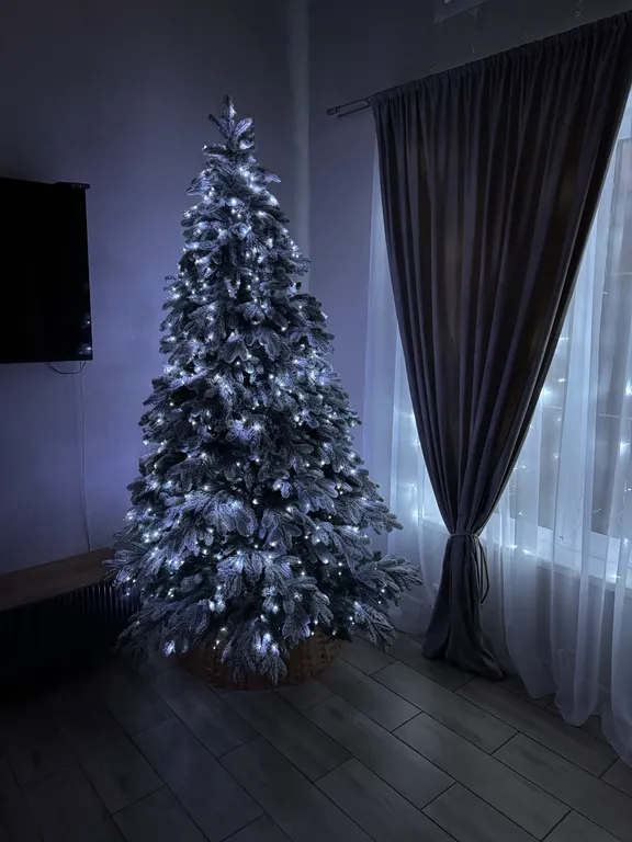 Дом на берегу реки Солоница