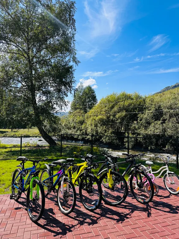 Усадьба Сова на берегу реки в горах Алтая