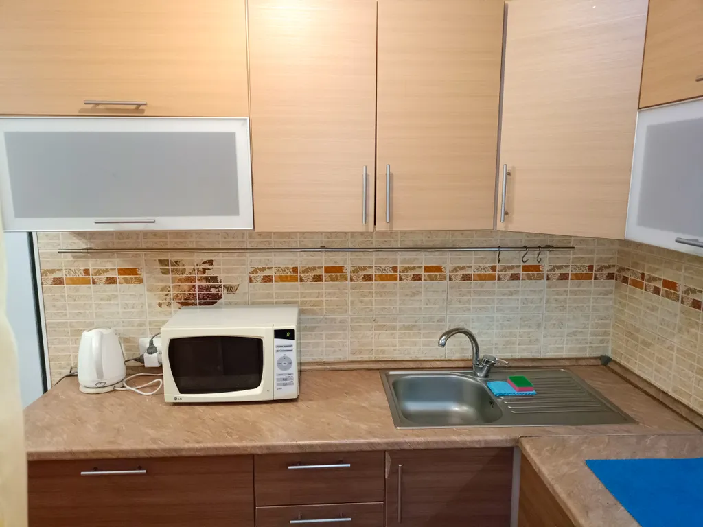 Квартира Уютная 3-комнатная квартира-студия, рядом с метро и Зоопарком — Новосибирск