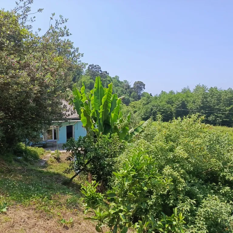 Комфортный дом с видом на горы