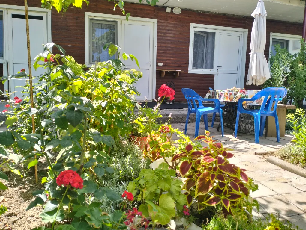 Комната-эконом с цветочным двориком в тихом районе