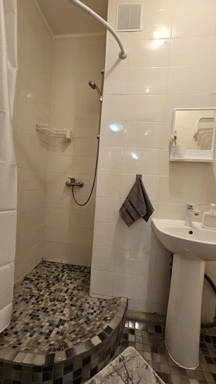 Уютная студия в центре