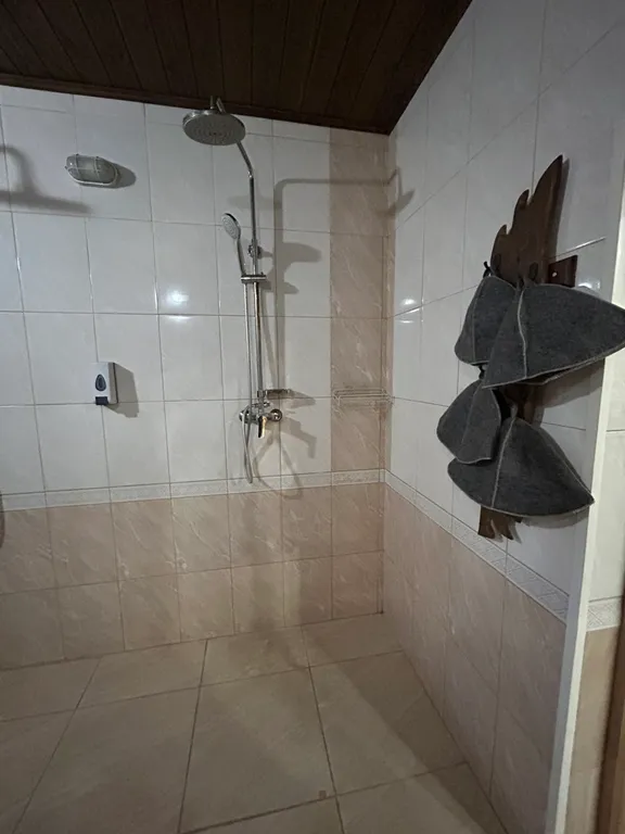 Дом с баней на дровах