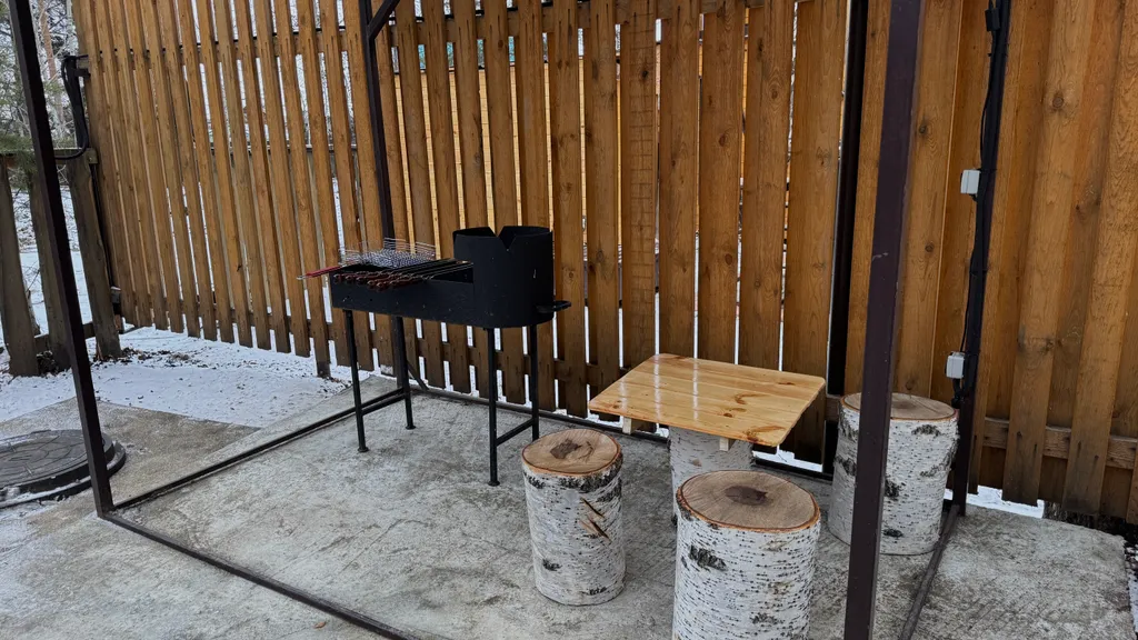 Дом Тихий Бор в березовом лесу