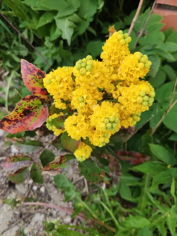 Деревенский дом у моря