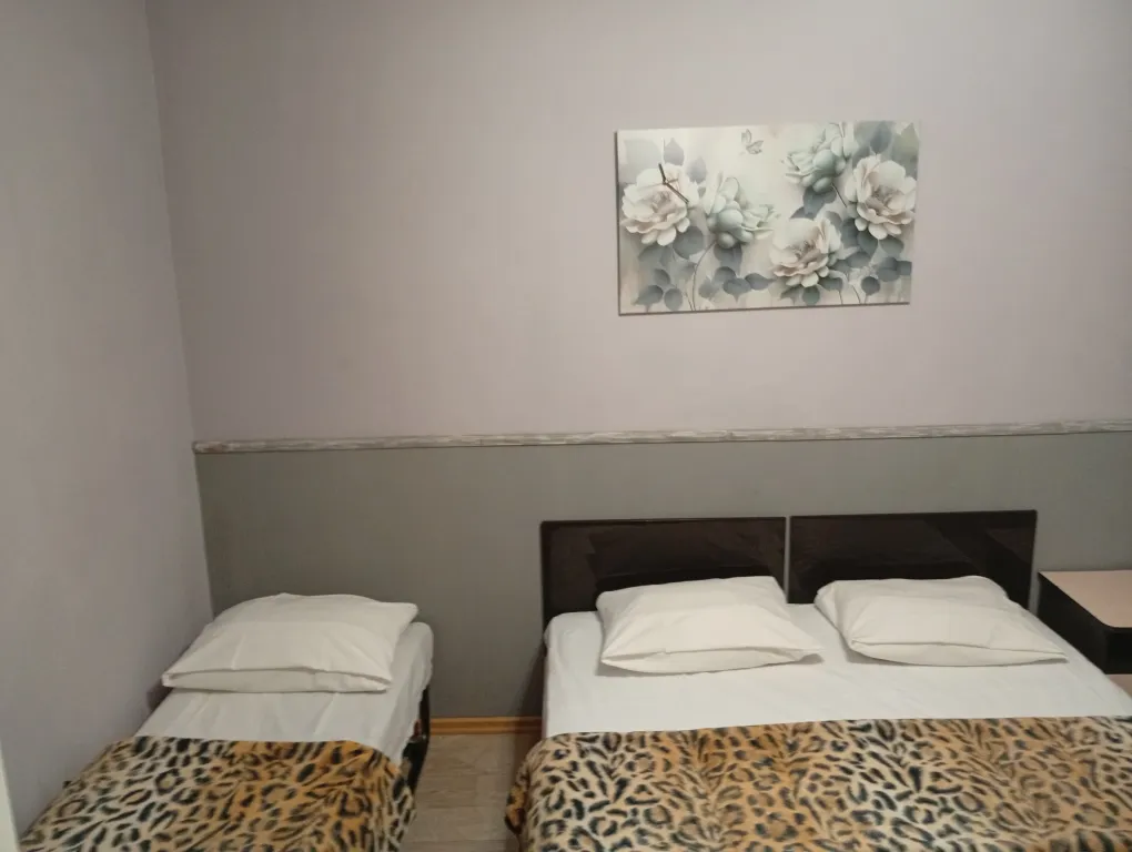 с одной двуспальной или 2 односпальными кроватями и доп спальным мест