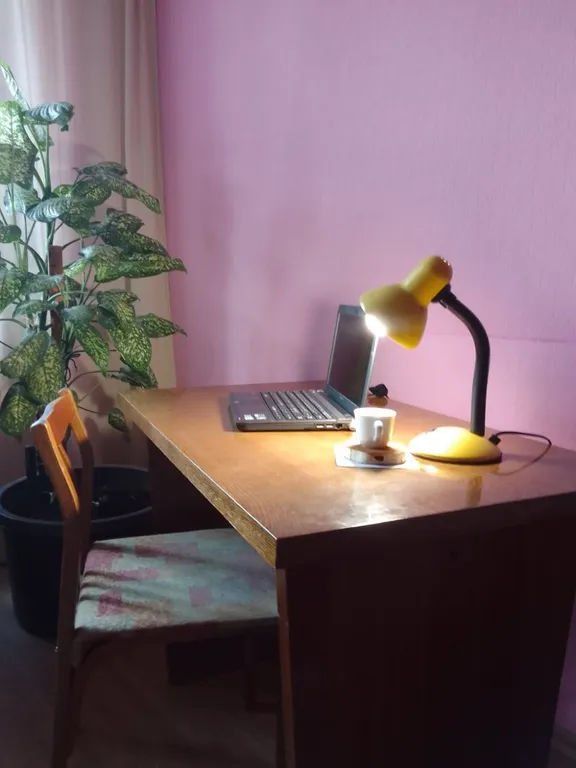 Просторная евро-двушка в историческом центре