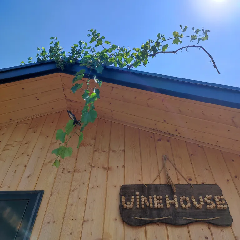 Коттедж Современный, уютный эко дом под виноградником с террасой — Кисловодск