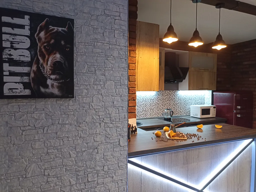 Уникальная квартира кино-театр