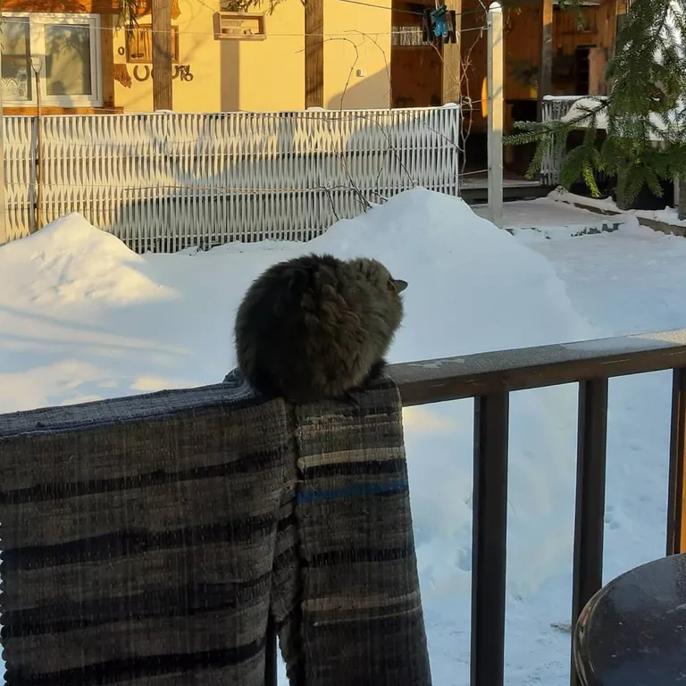 Усадьба Береговая