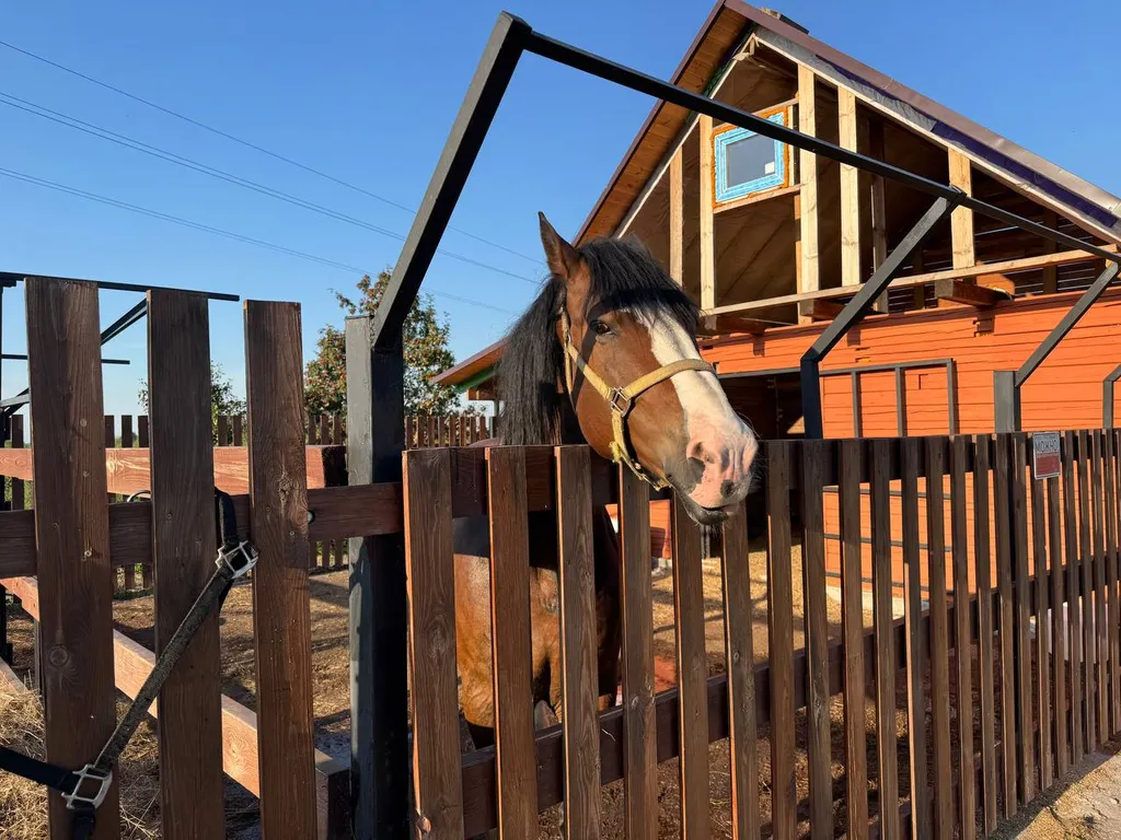 Гостевой дом с конюшней