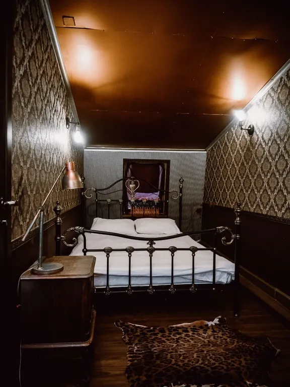 Двухуровневые апартаменты в центре города