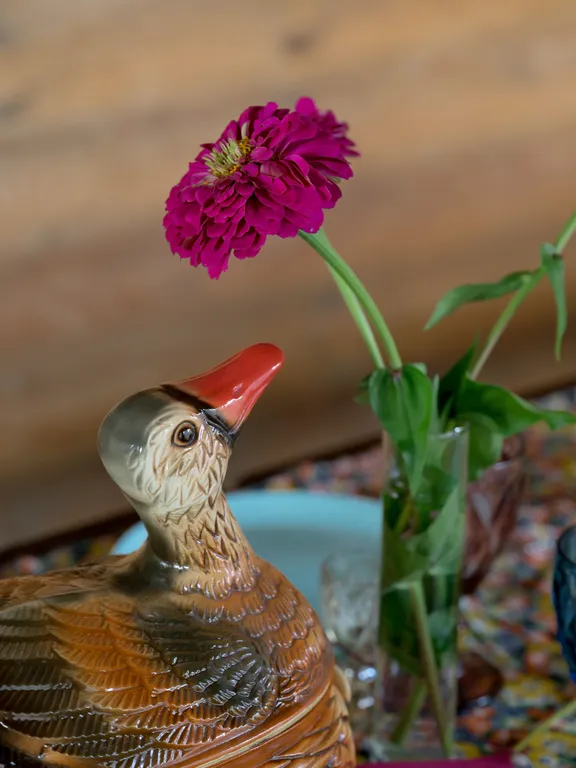 Гуси Лебеди