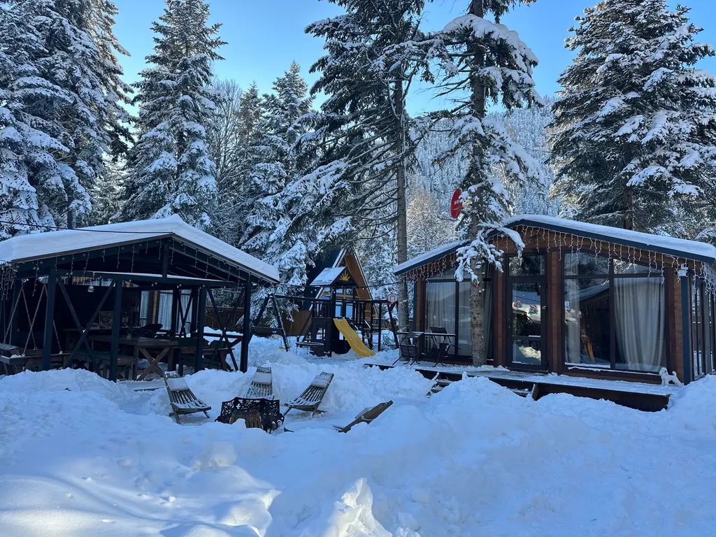 Шале 1 с видом на горы и лес