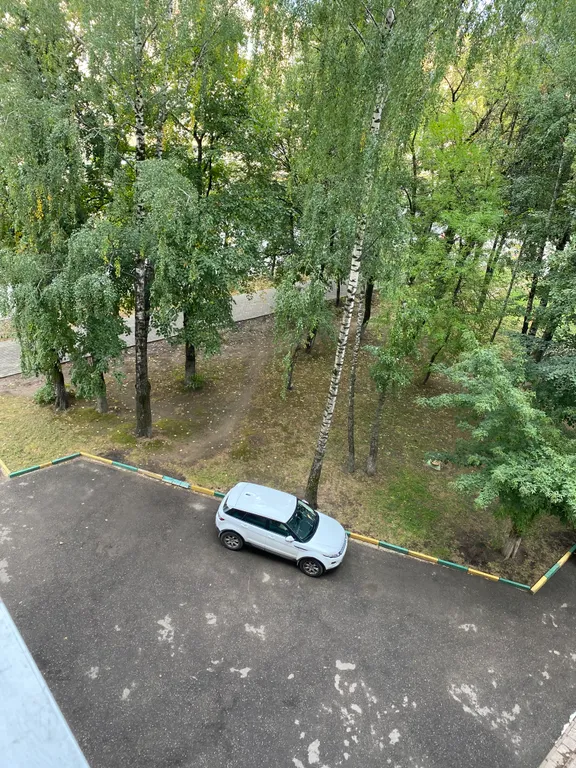 Апартамент в самом в центре города, возле ТЦ Зебра