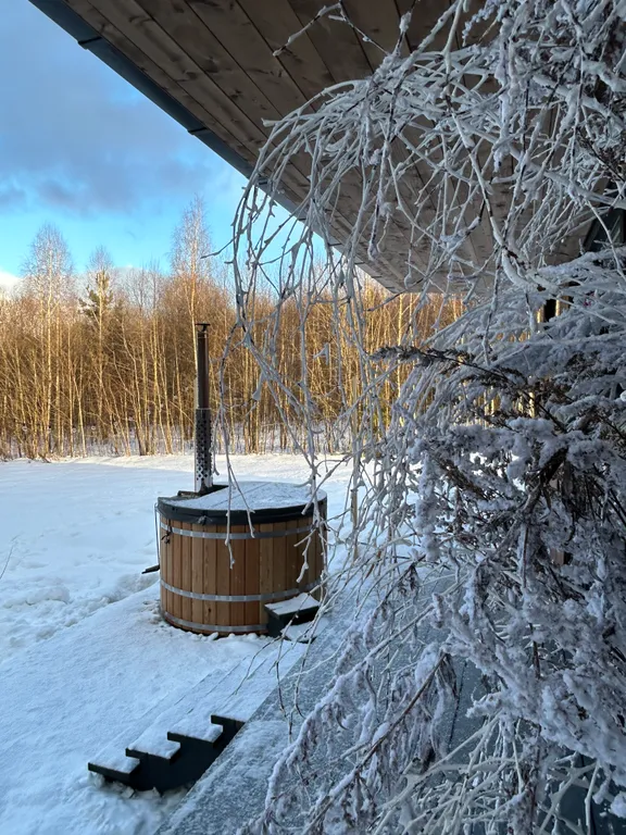 АртХаус Domingo Dacha