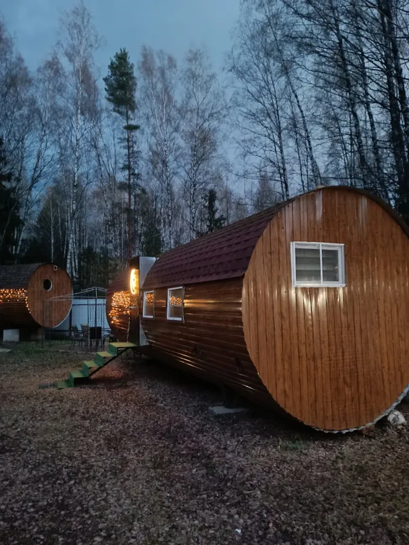 Удивительный дом в лесу