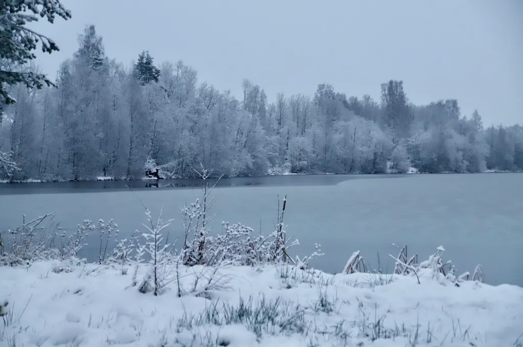 База отдыха Хэйлун Дом №3 Шэньчжоу