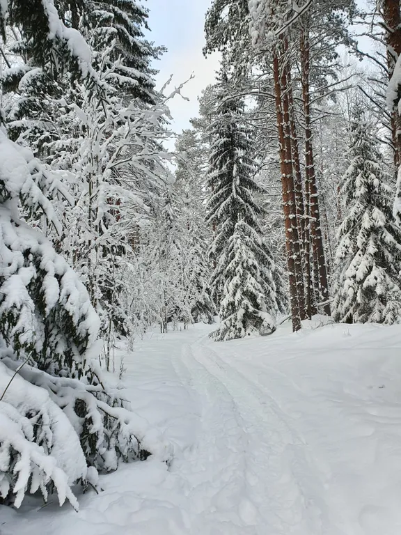 Уютный коттедж с баней на дровах