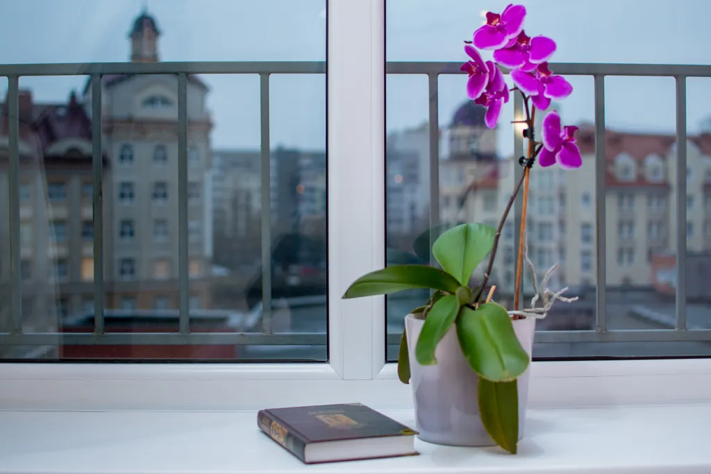 Стильная квартира на острове Канта