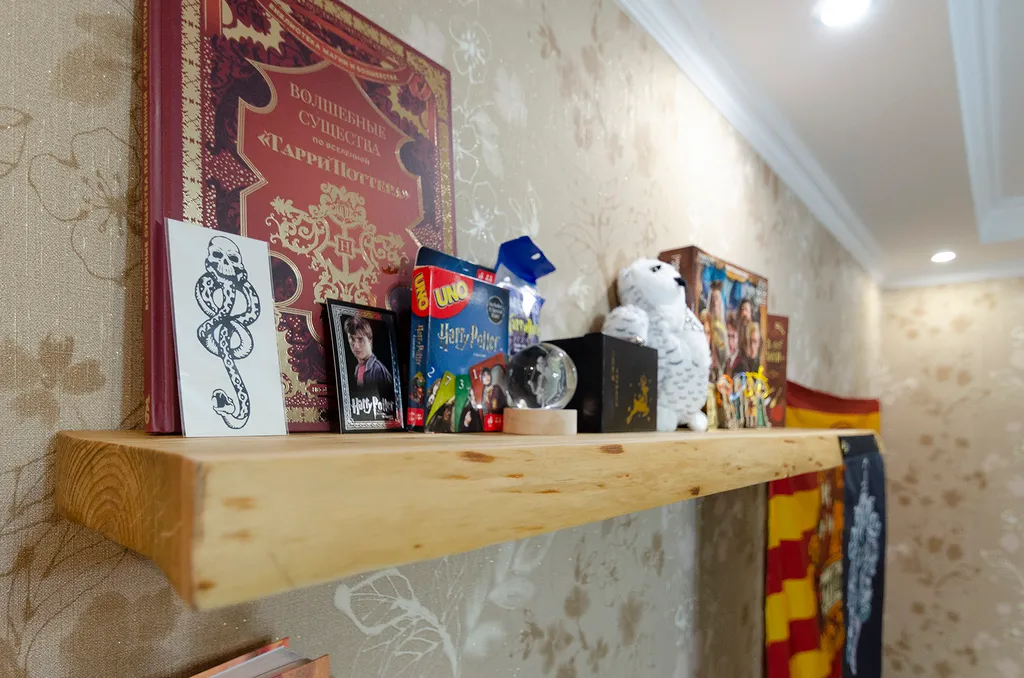 Квартира в стиле Гарри Поттер в центре города