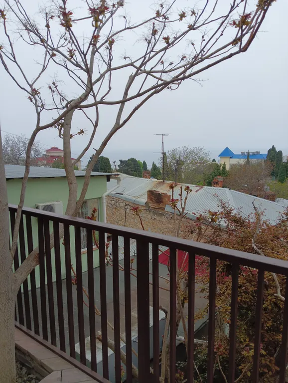 Видовые апартаменты