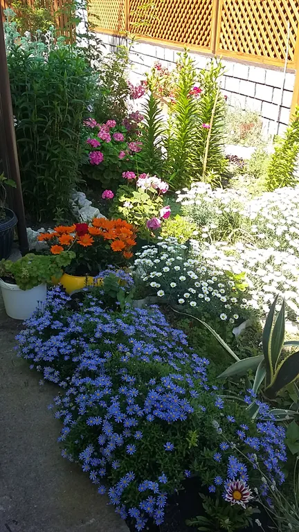 7-комнатный Дом