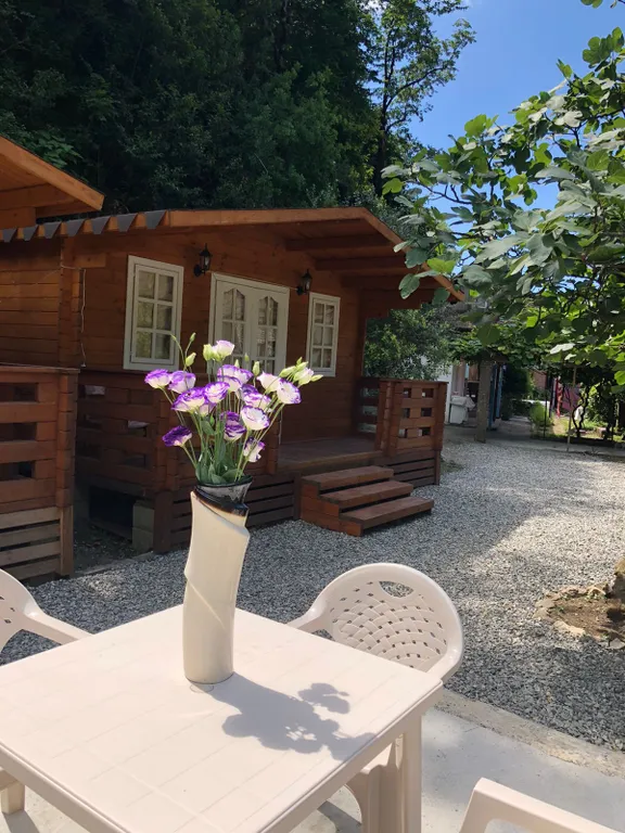 Коттедж Эко домик с парковкой рядом с горной рекой — Гагра