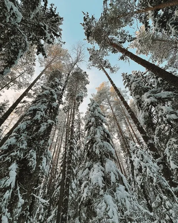 Дом с террасой с выходом на озеро