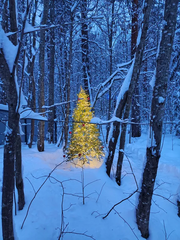 Коттедж Коттедж Shuya Tiny House 2 — Петрозаводск