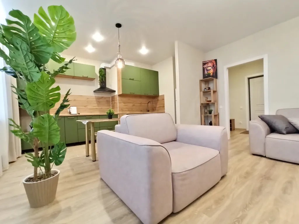 Просторные апартаменты с шикарным видом на город и парк