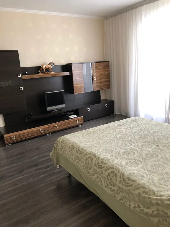 Просторная квартира на Шуменской