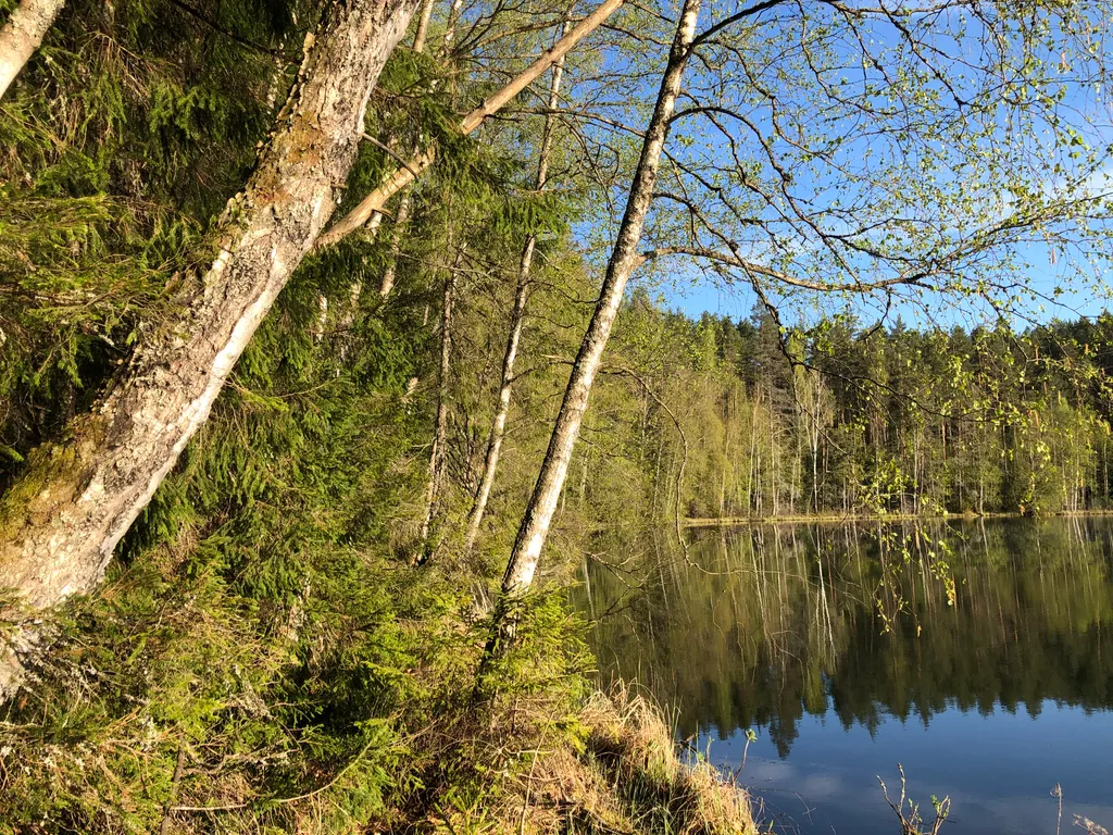 Дом у реки Лынтупка