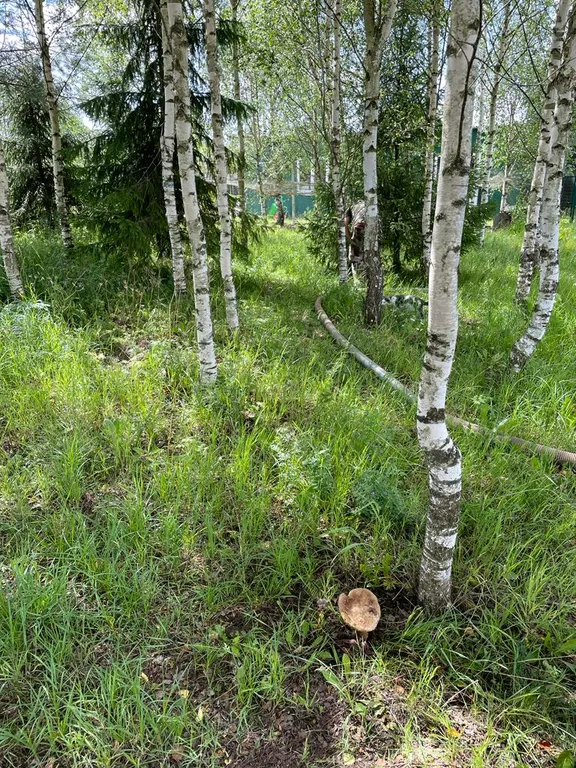 Коттедж Загородный дом с баней в заповедной зоне для отдыха и рыбалки — Воздвиженское